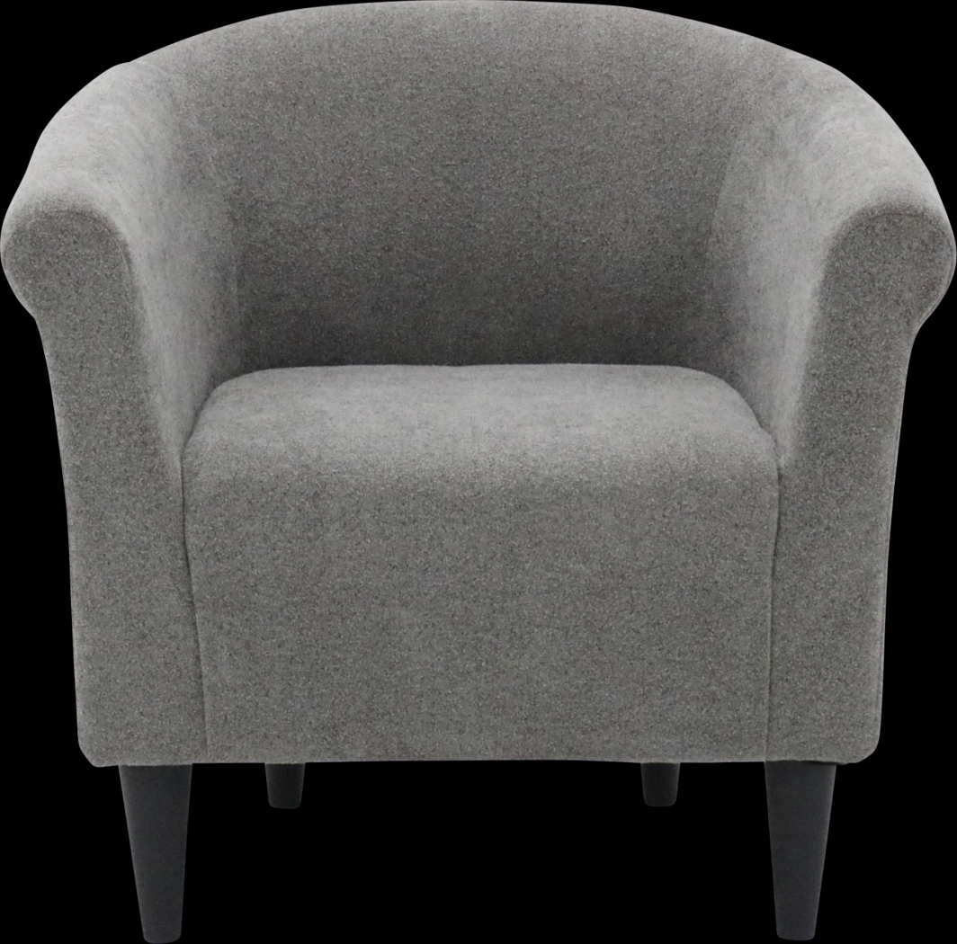 Apezi Gray Accent Chair - Thumbnail - Image 1