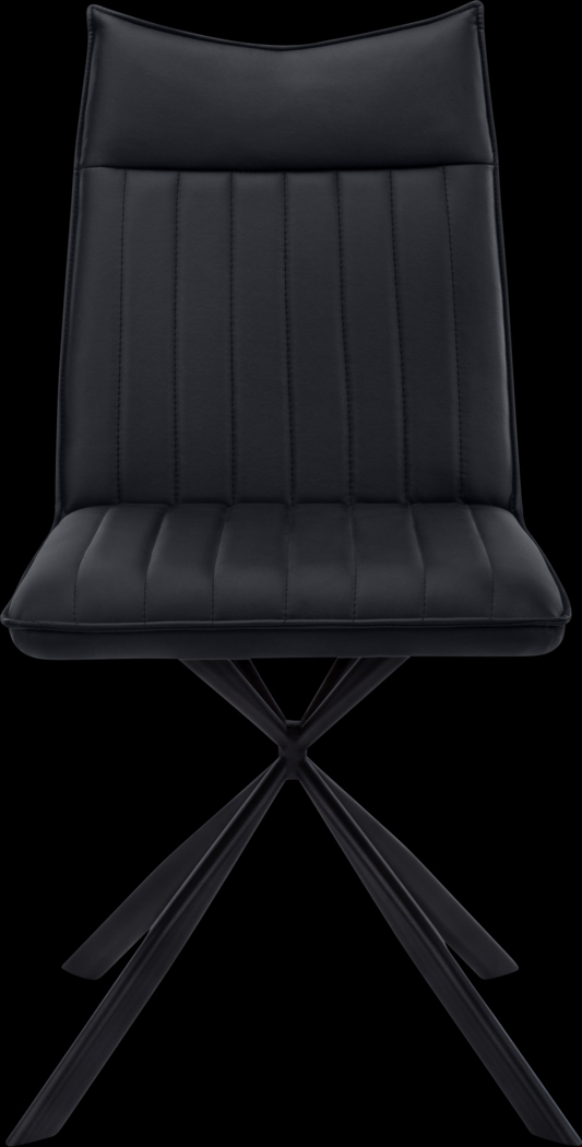 Appaloosa Black Side Chair, Set of 2 - Thumbnail - Image 6