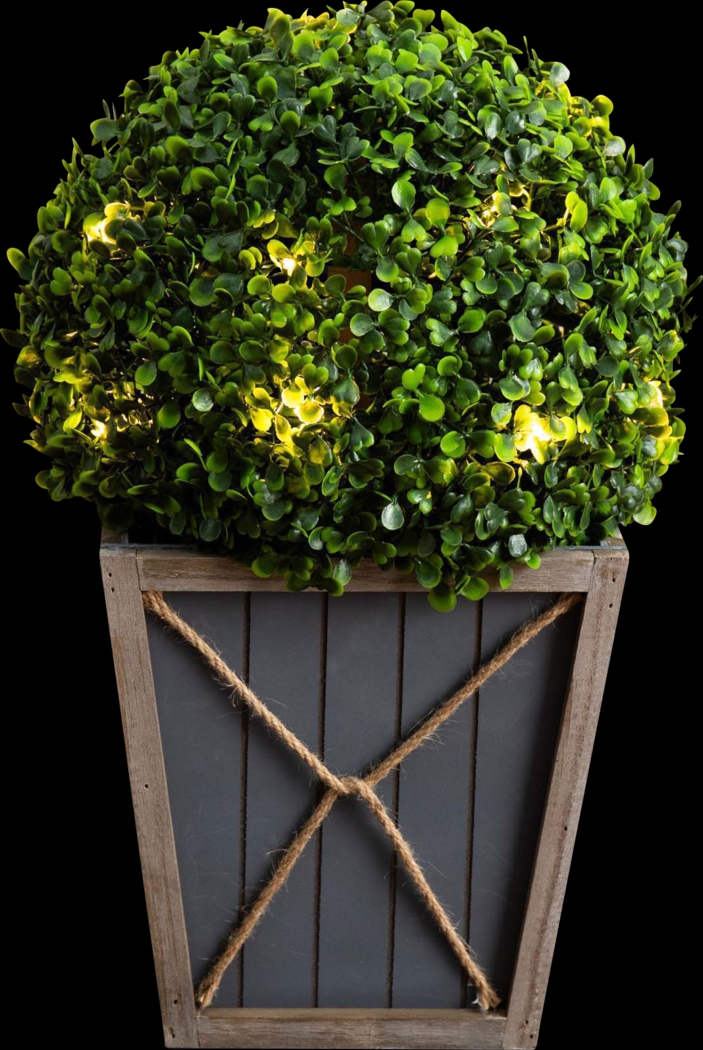 Appleberry I Green Artificial Boxwood Ball Topiary - Thumbnail - Image 3