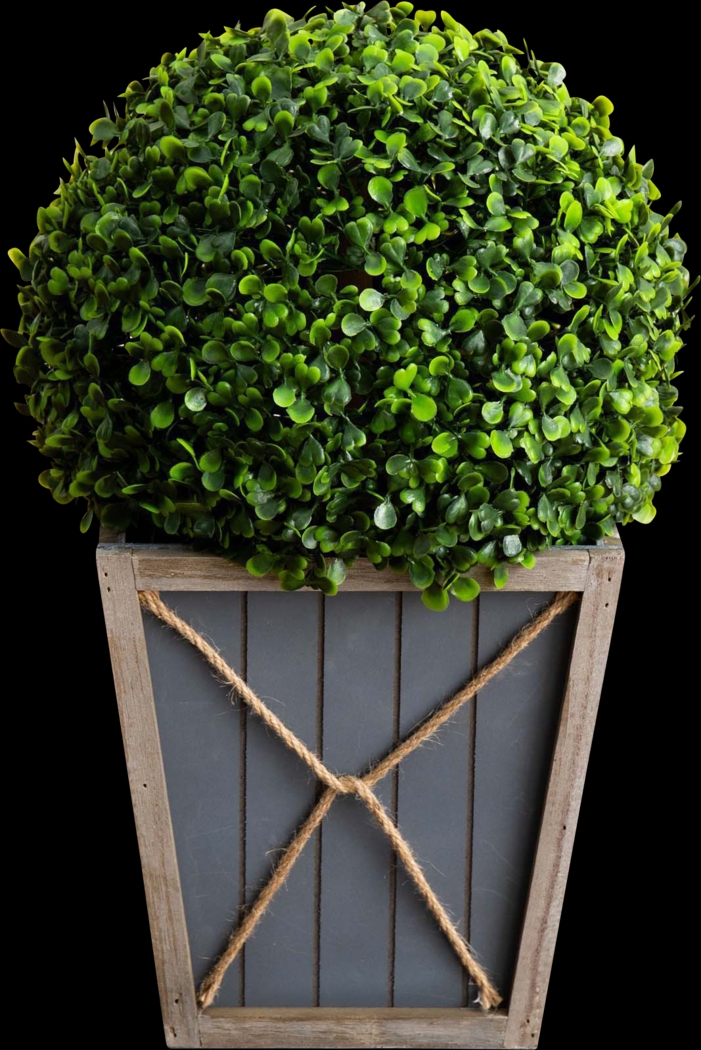 Appleberry I Green Artificial Boxwood Ball Topiary - Thumbnail - Image 1