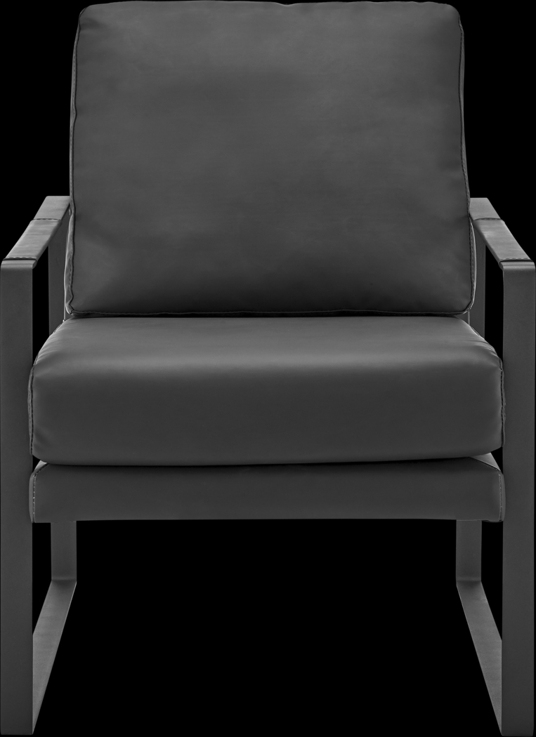 Apricoy Black Accent Chair - Thumbnail - Image 1