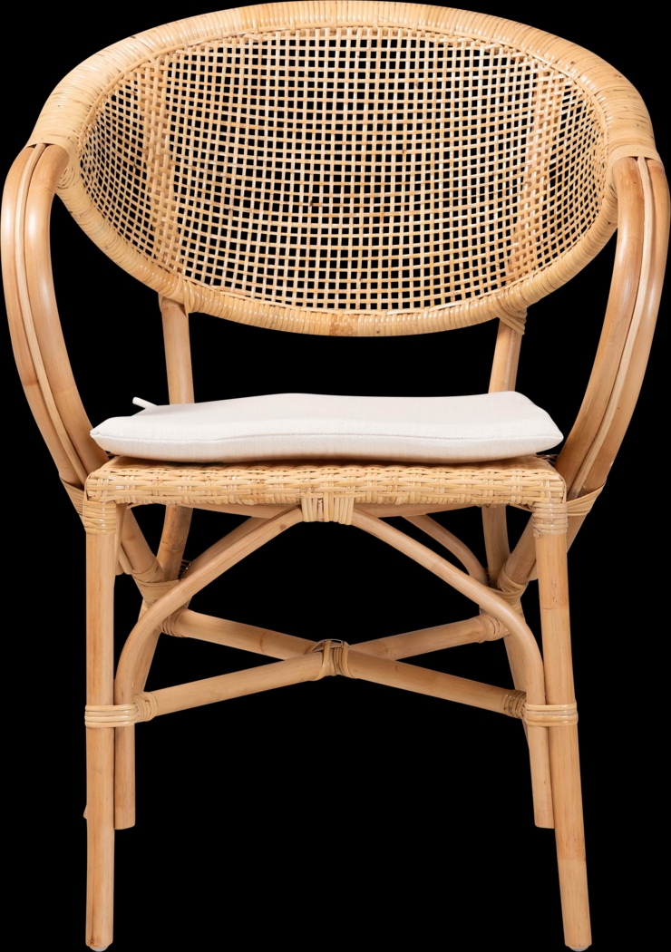 Aquadilla Brown Arm Chair - Thumbnail - Image 3