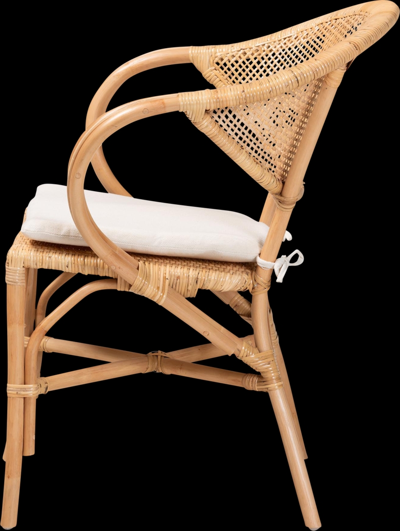 Aquadilla Brown Arm Chair - Thumbnail - Image 4