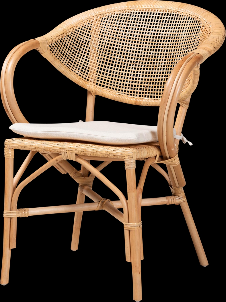 Aquadilla Brown Arm Chair - Thumbnail - Image 1