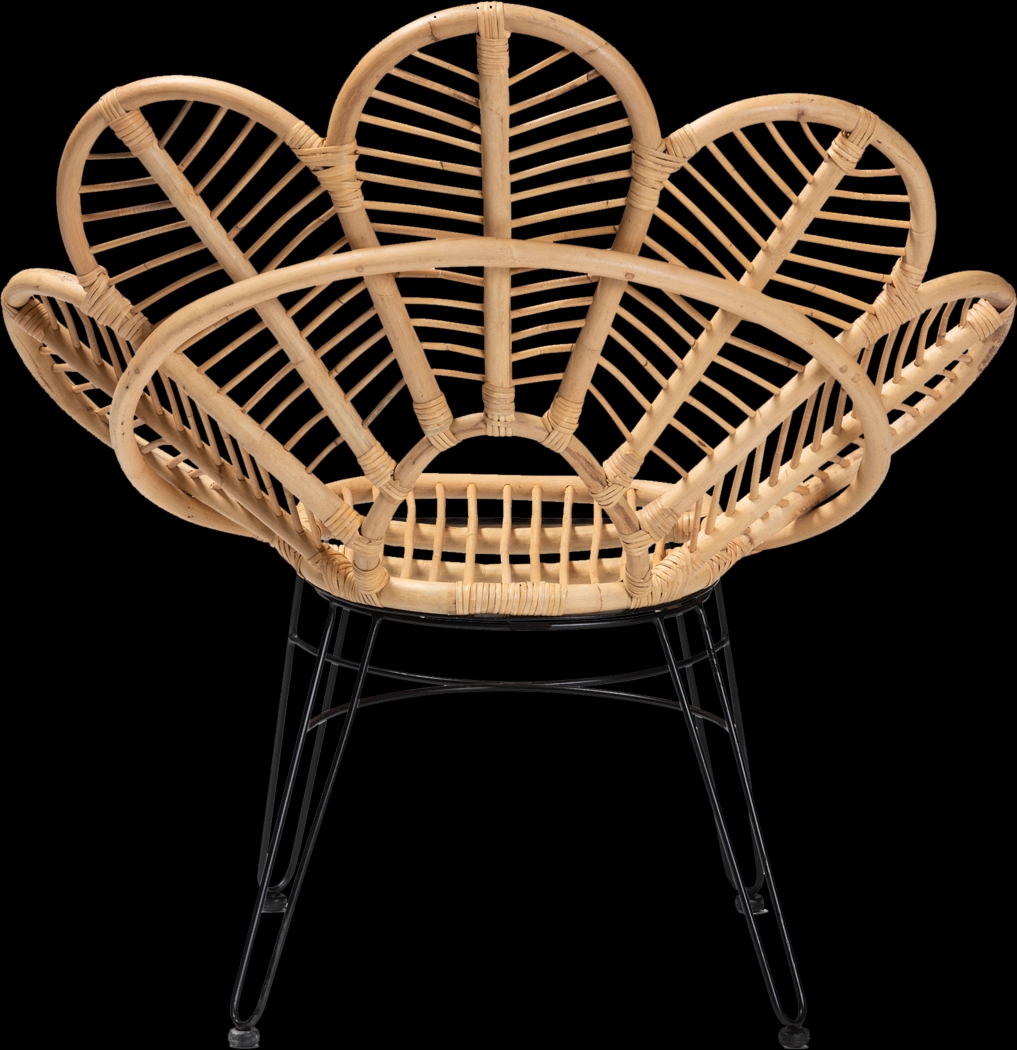 Aranye Brown Accent Chair - Thumbnail - Image 6