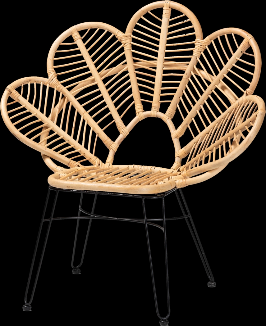 Aranye Brown Accent Chair - Thumbnail - Image 1