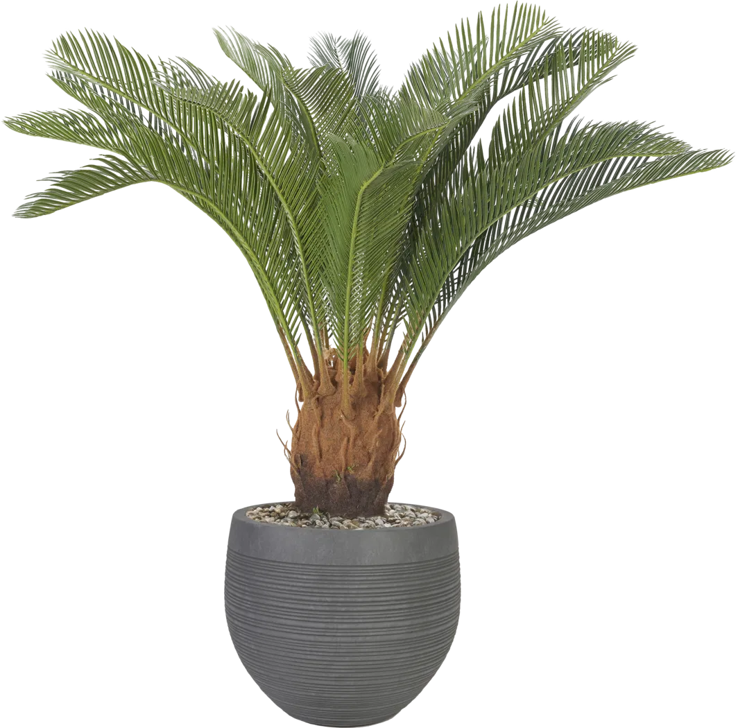 Ardena 40 in. UV Artificial Palm in Gray Planter - Thumbnail - Image 1