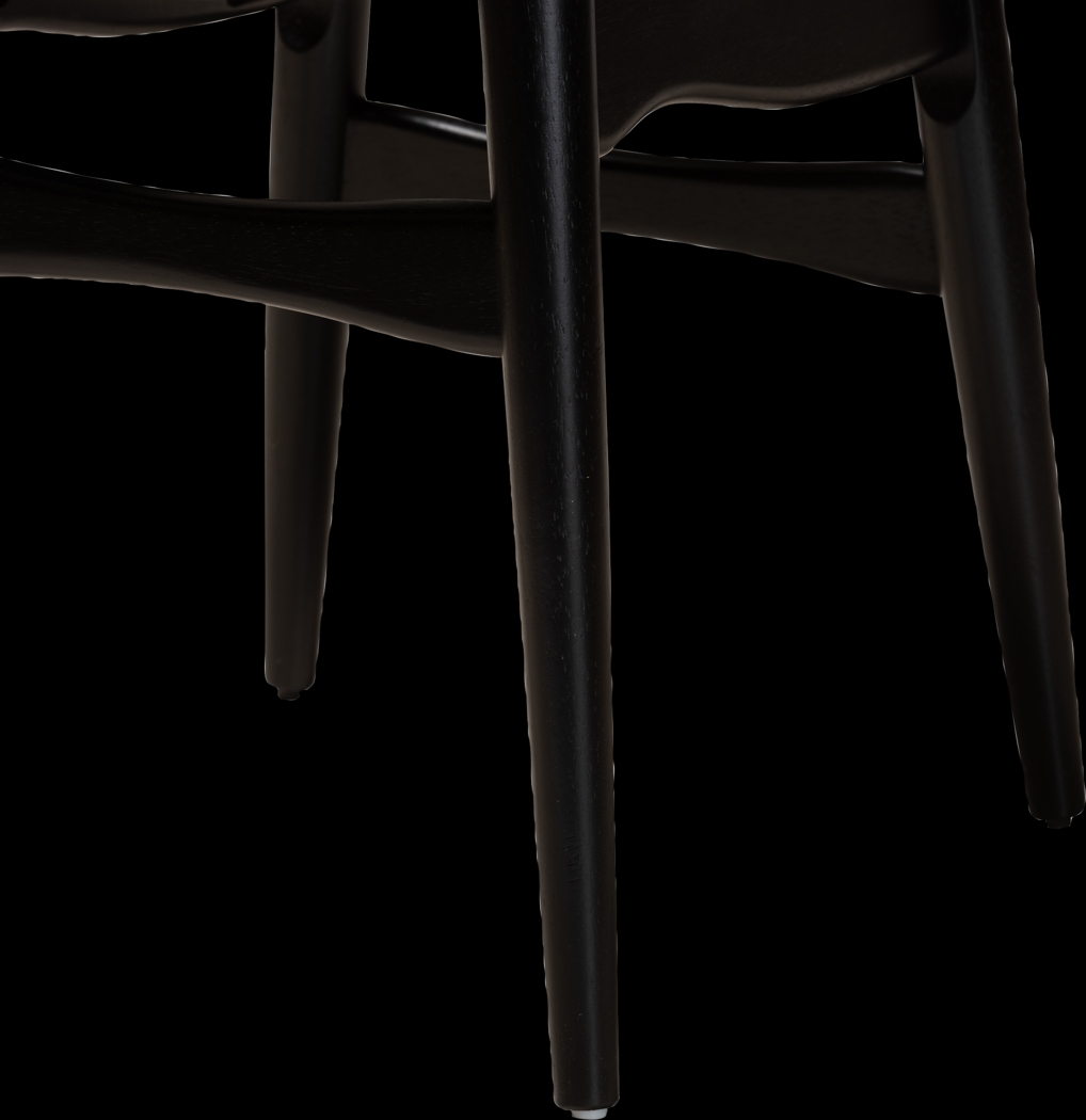 Argilla Black Side Chair, Set of 2 - Thumbnail - Image 4