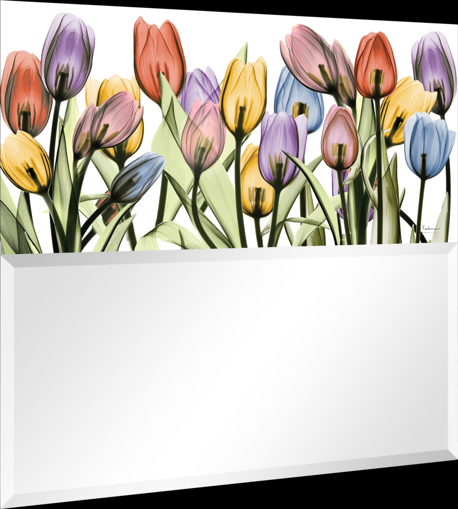 Ariah Multi Mirror - Thumbnail - Image 2