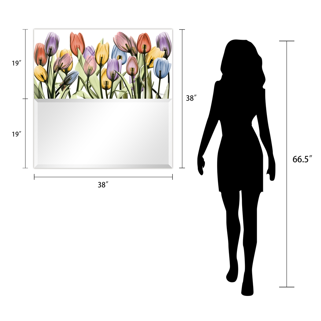 Ariah Multi Mirror - Thumbnail - Image 8