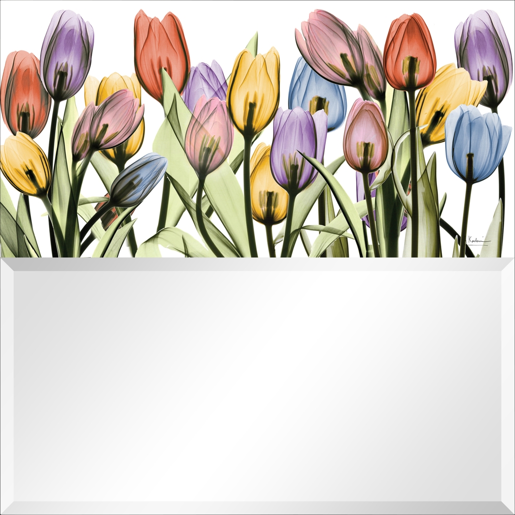 Ariah Multi Mirror - Thumbnail - Image 1