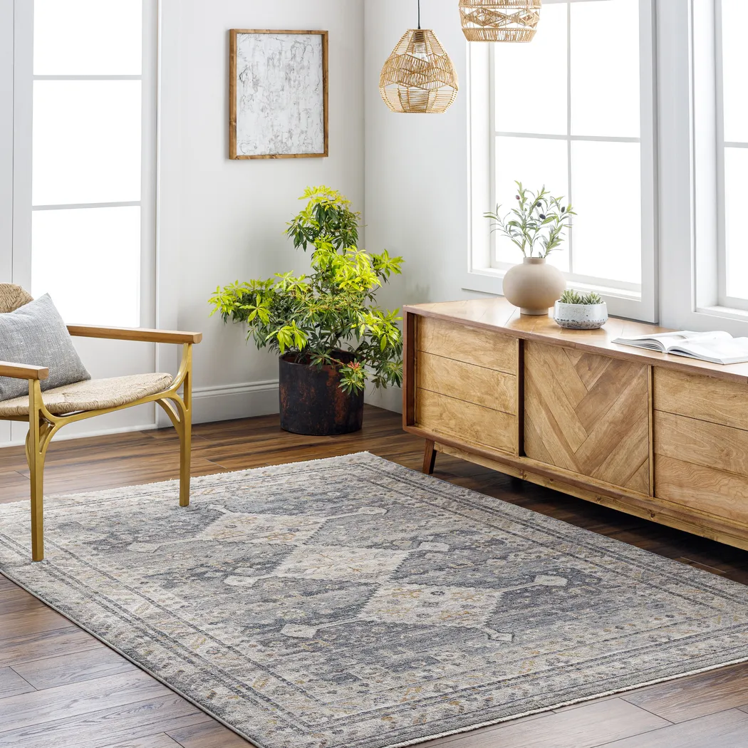Aride Gray 5' x 7'9 Rug - Thumbnail - Image 2