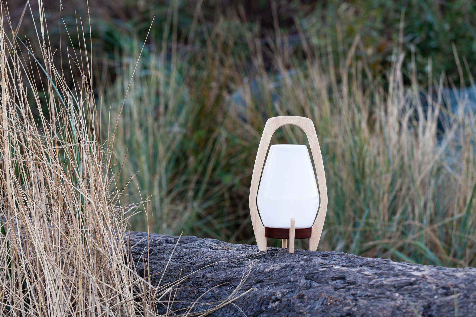 Arilis Farm Indoor/Outdoor White Lantern - Thumbnail - Image 3