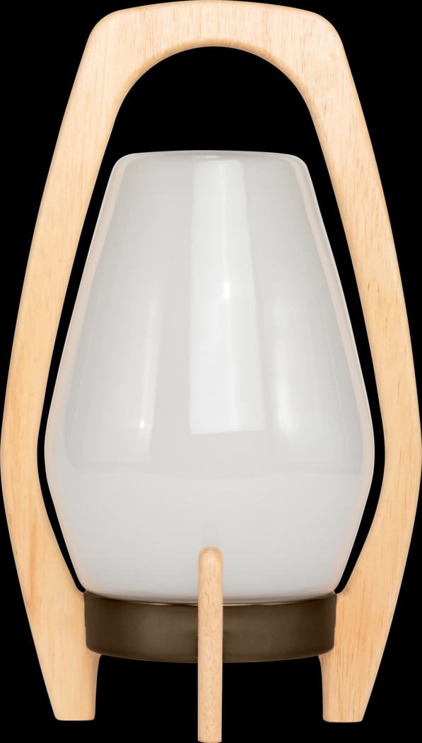 Arilis Farm Indoor/Outdoor White Lantern - Thumbnail - Image 1