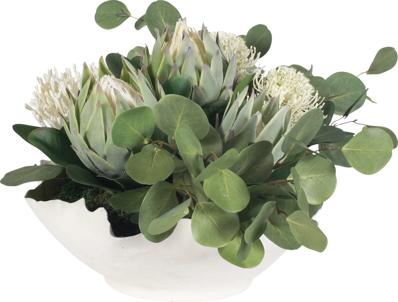 Arima White Silk Plant - Image 5