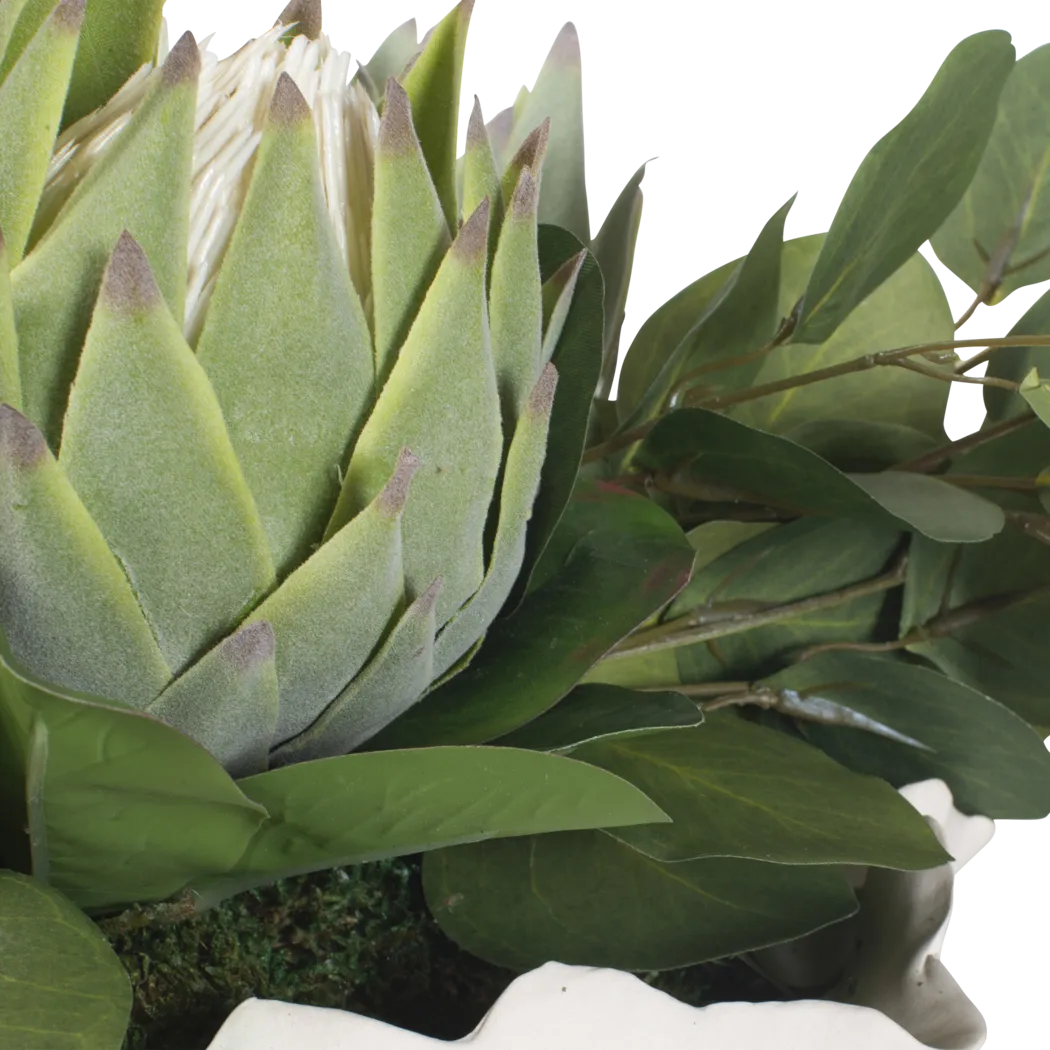 Arima White Silk Plant - Image 7