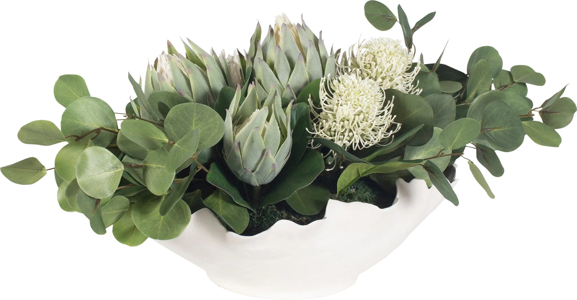 Arima White Silk Plant - Image 9