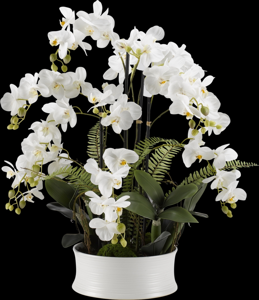 Armelia White Orchid Silk Flower Arrangement - Thumbnail - Image 1