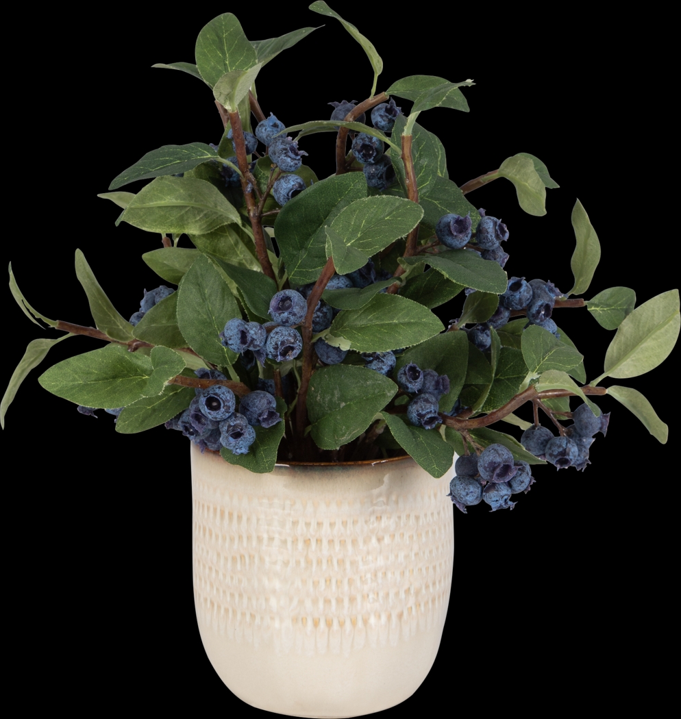 Arrex Tan Plant - Thumbnail - Image 3