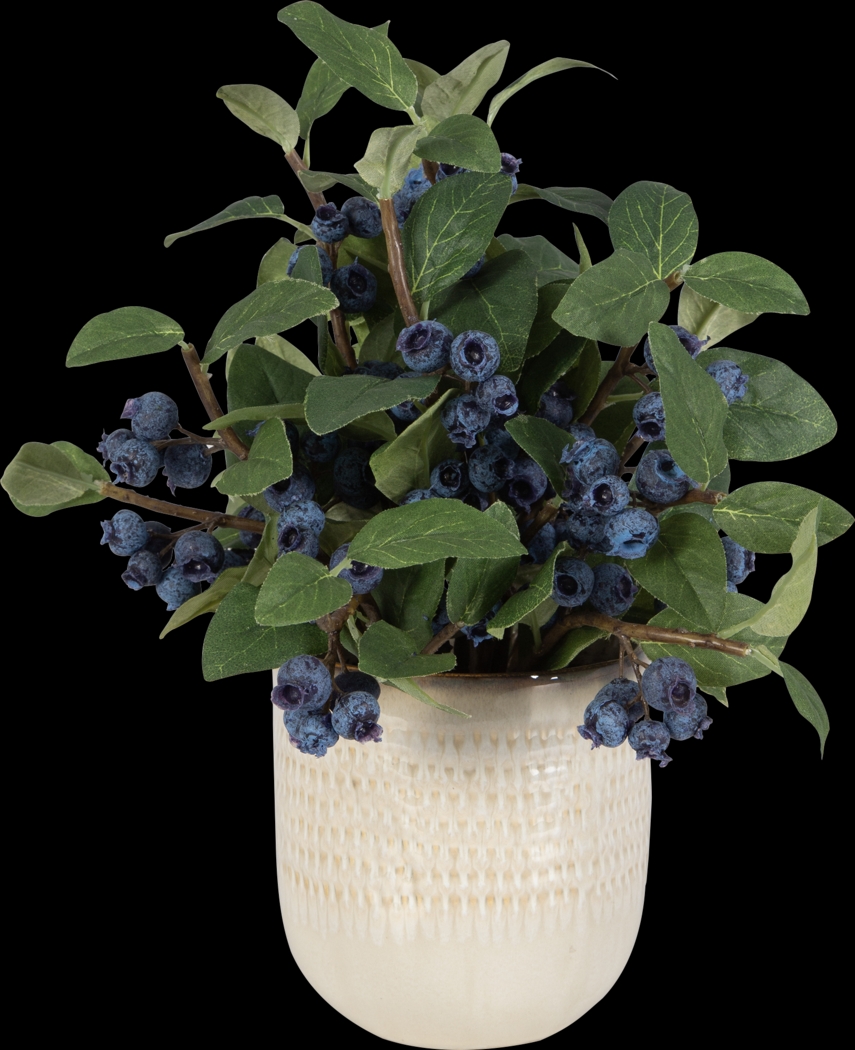 Arrex Tan Plant - Thumbnail - Image 1