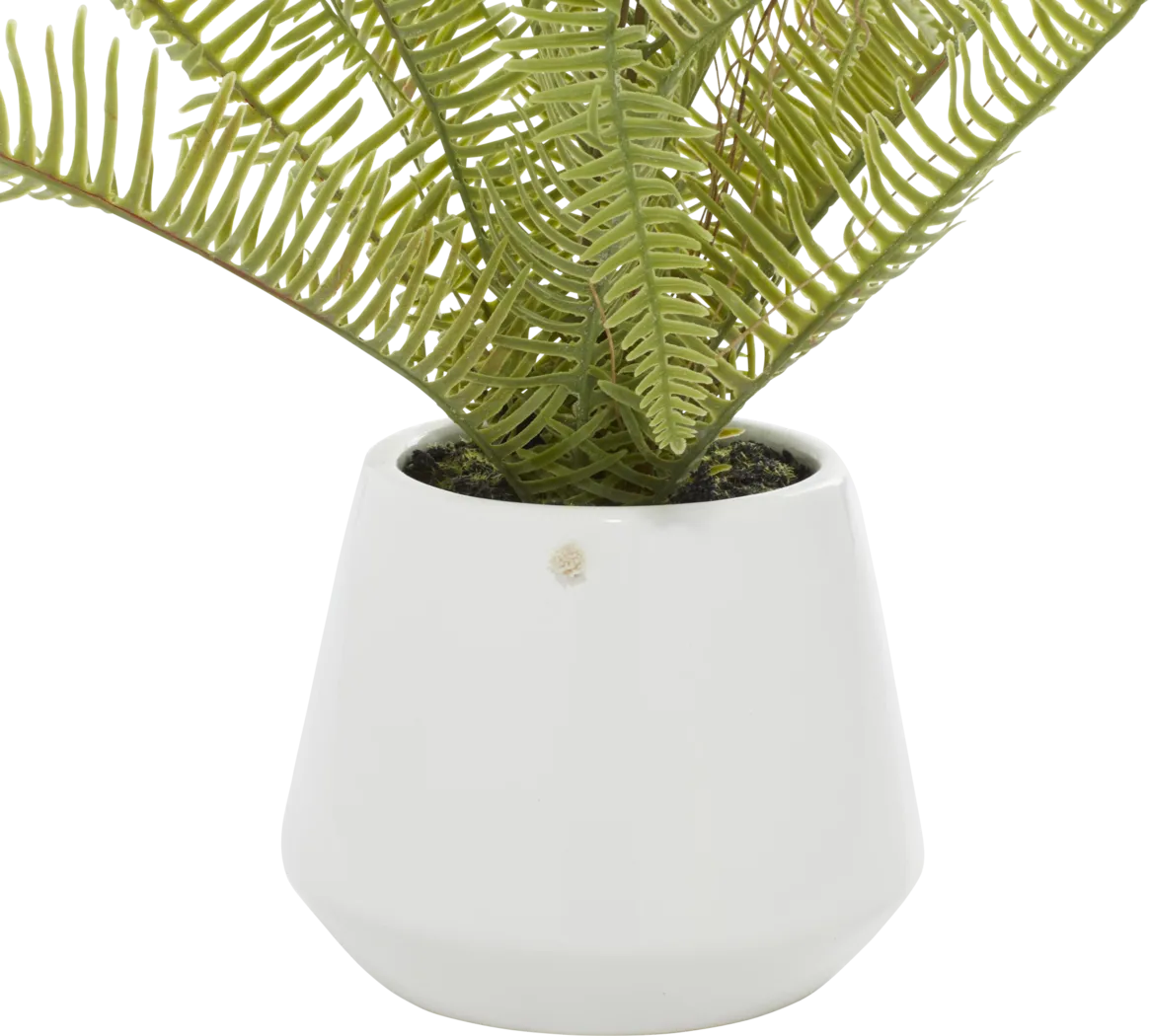 Arthir Green Silk Plant - Thumbnail - Image 4