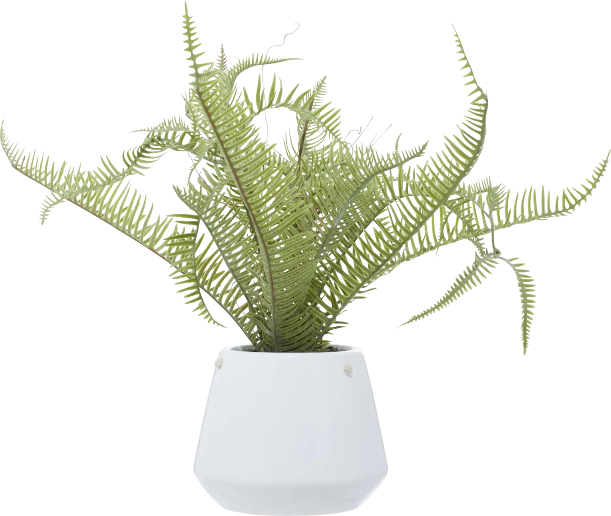 Arthir Green Silk Plant - Thumbnail - Image 5