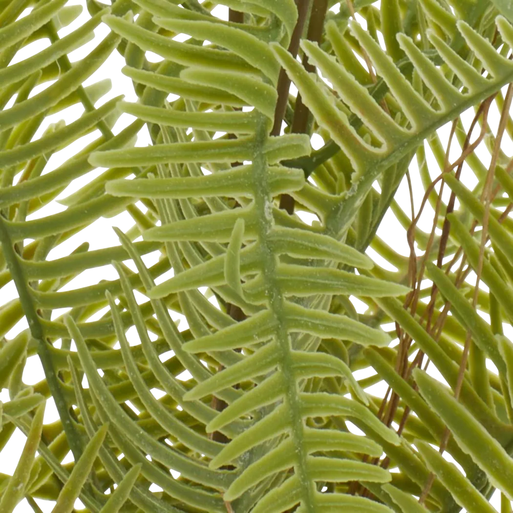 Arthir Green Silk Plant - Thumbnail - Image 7
