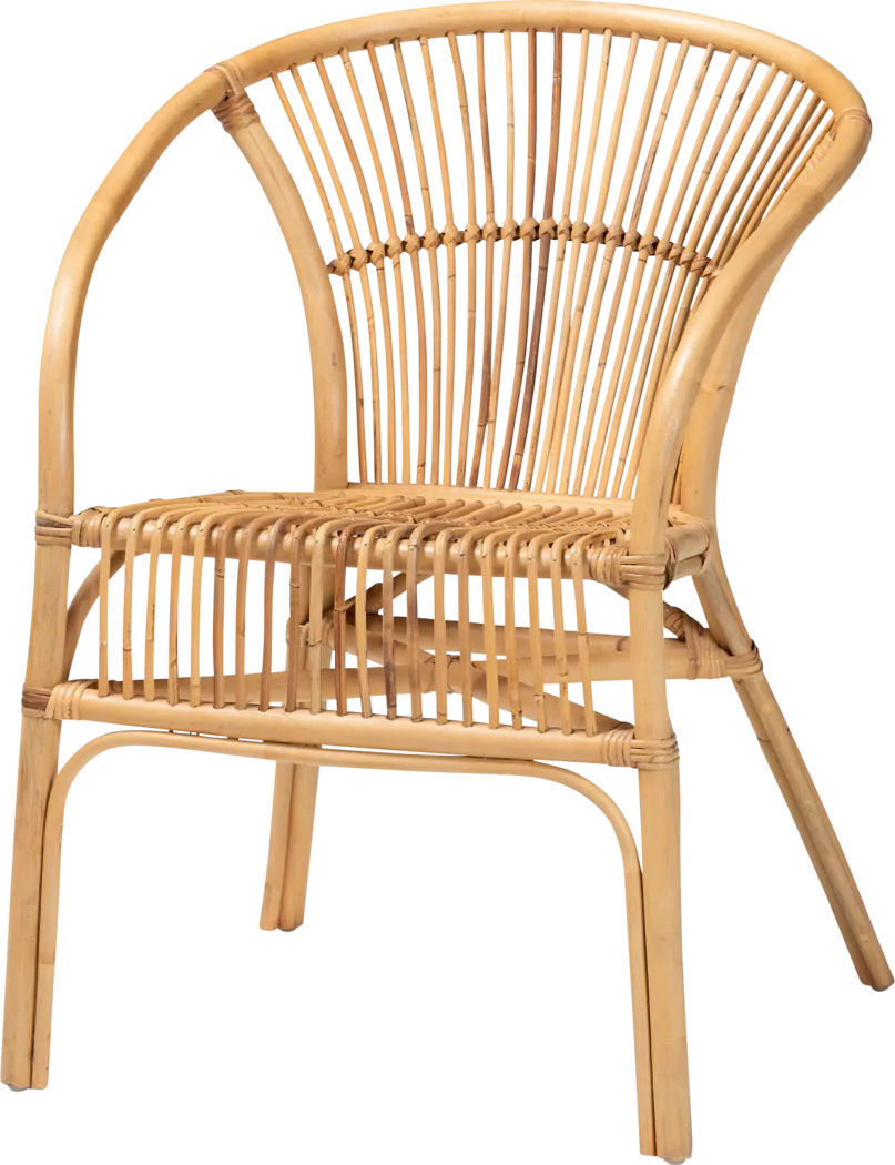 Arvany Brown Arm Chair - Thumbnail - Image 1