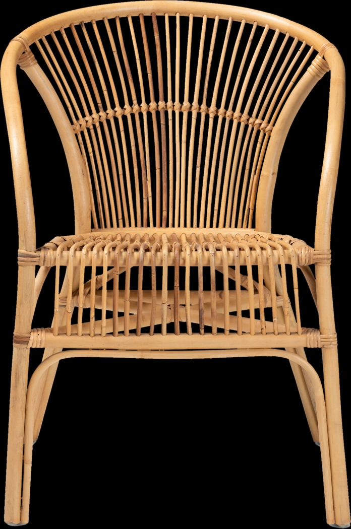 Arvany Brown Arm Chair - Thumbnail - Image 4