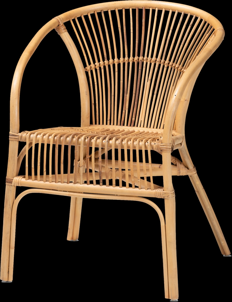 Arvany Brown Arm Chair - Thumbnail - Image 1