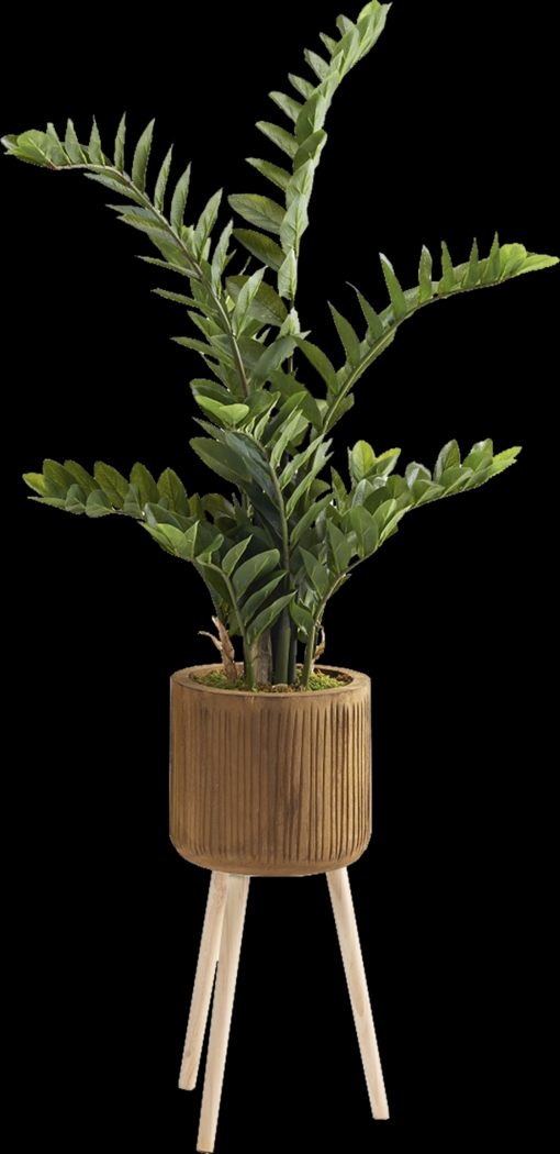 Atteboro Brown Silk Plant - Thumbnail - Image 1