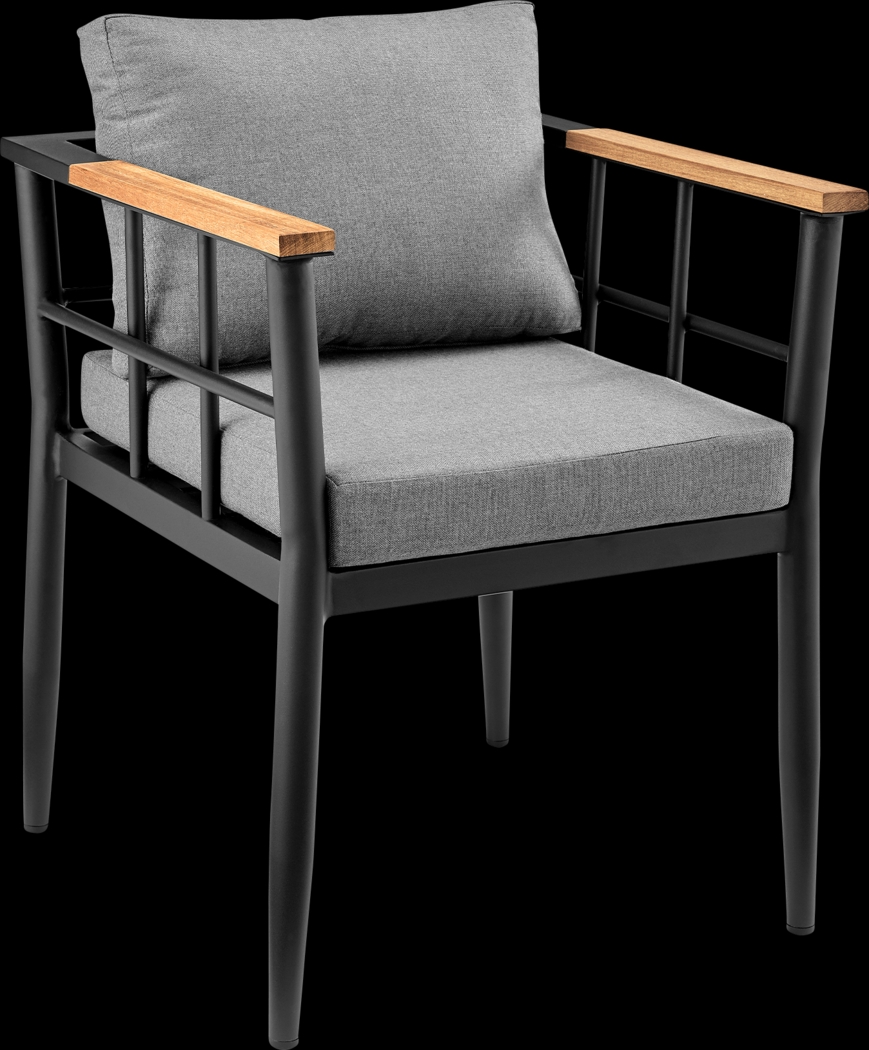 Outdoor Aurania Black Arm Chair, Set of 2 - Thumbnail - Image 3