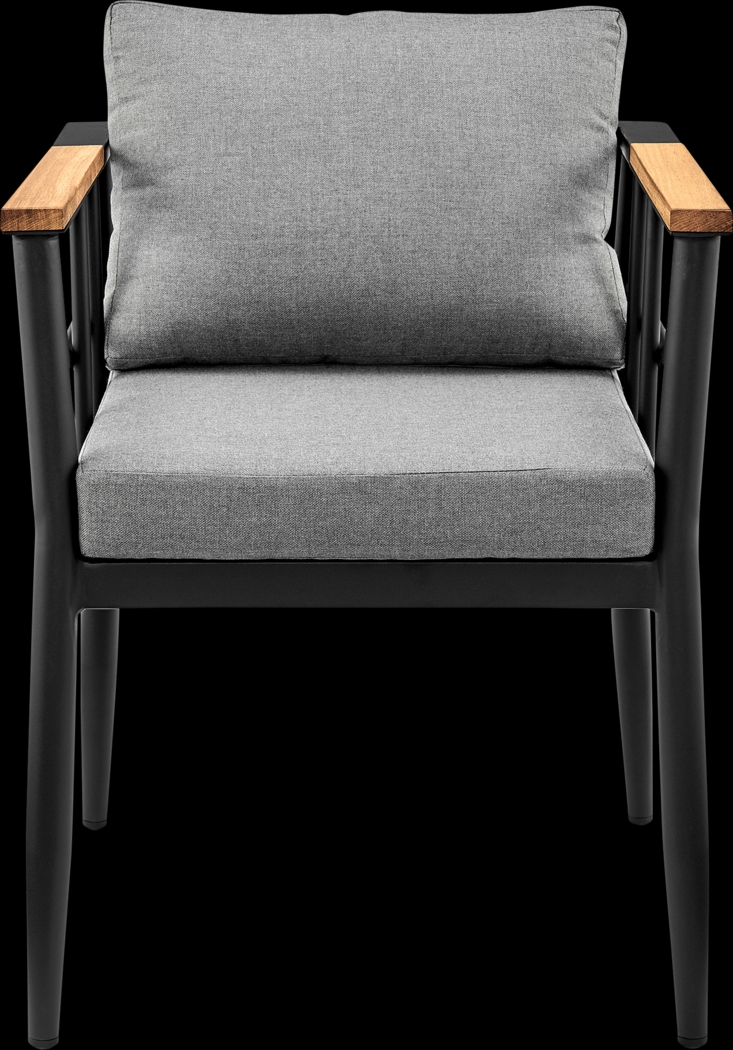 Outdoor Aurania Black Arm Chair, Set of 2 - Thumbnail - Image 4