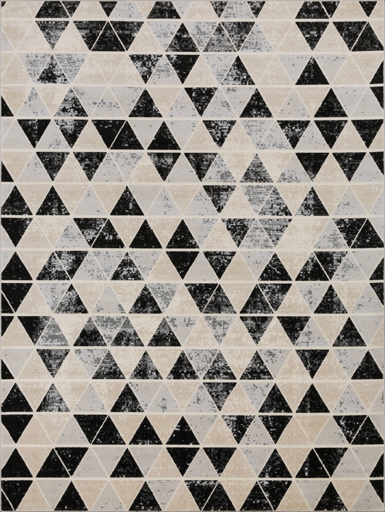 Aviral Black 7'10 x 10'3 Rug - Thumbnail - Image 1