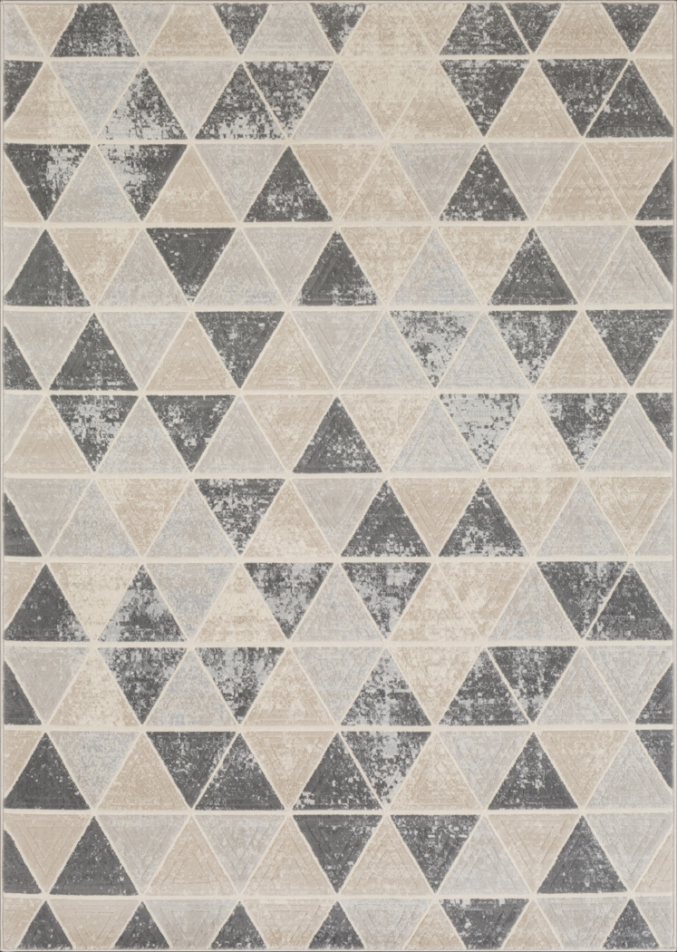 Aviral Gray 7'10 x 10'3 Rug - Thumbnail - Image 1