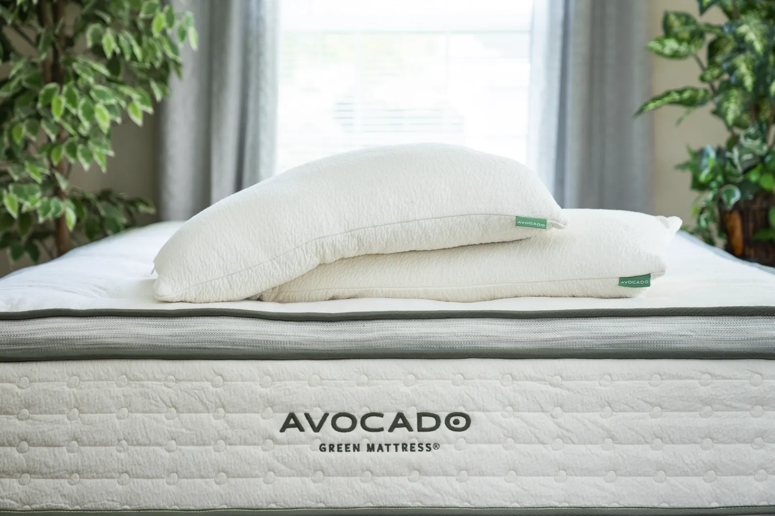 Avocado Green Euro Top Twin XL Mattress - Image 11