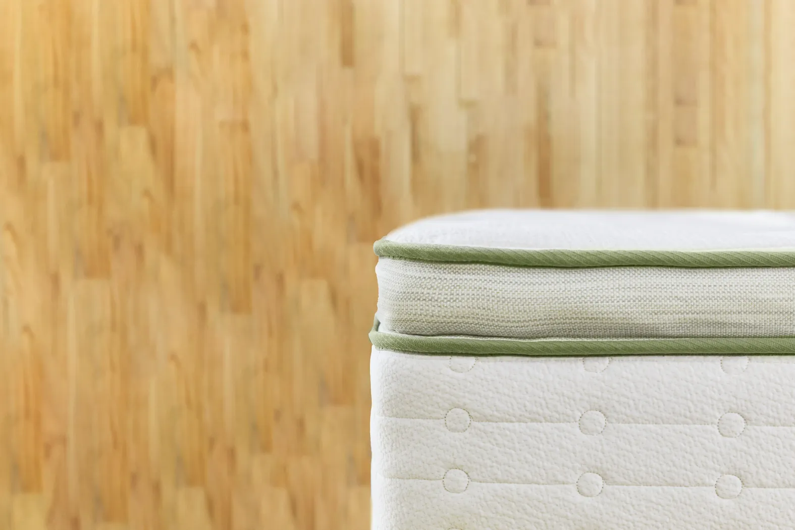 Avocado Green Euro Top Twin XL Mattress - Image 17