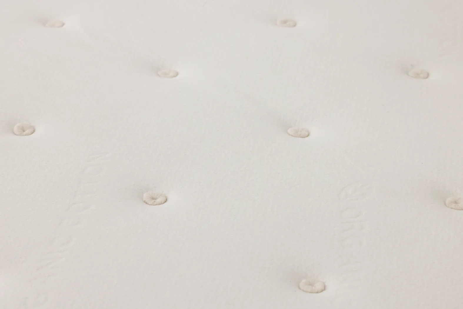 Avocado Green Tight Top Twin XL Mattress - Image 18