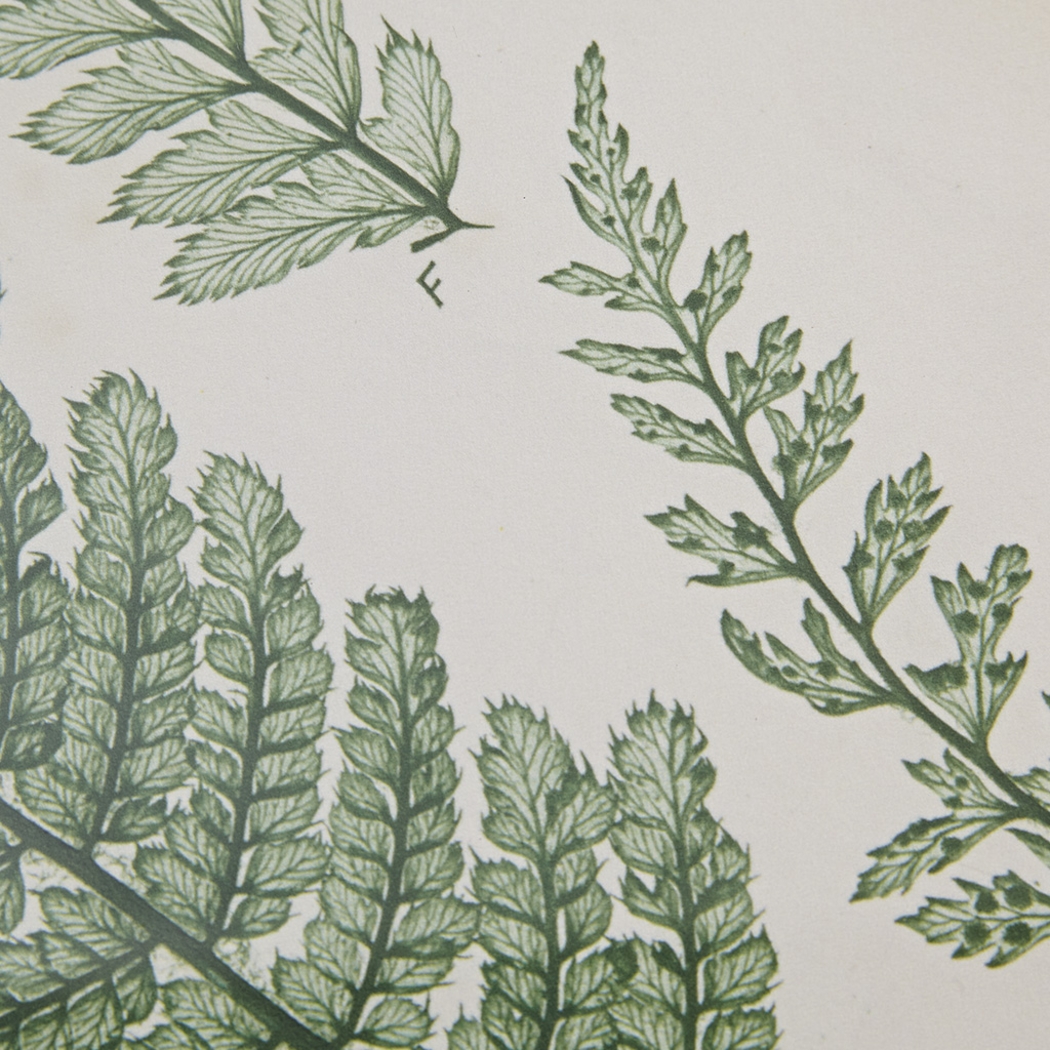 Avonoak Green Framed Graphic Wall Art Set of 3 - Thumbnail - Image 5