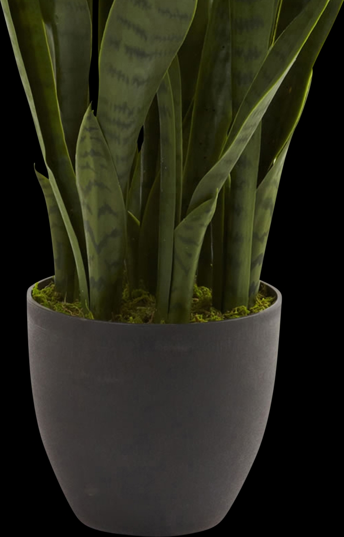Azairah Green Sansevieria Silk Plant - Thumbnail - Image 2