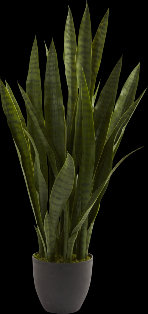 Azairah Green Sansevieria Silk Plant - Thumbnail - Image 1