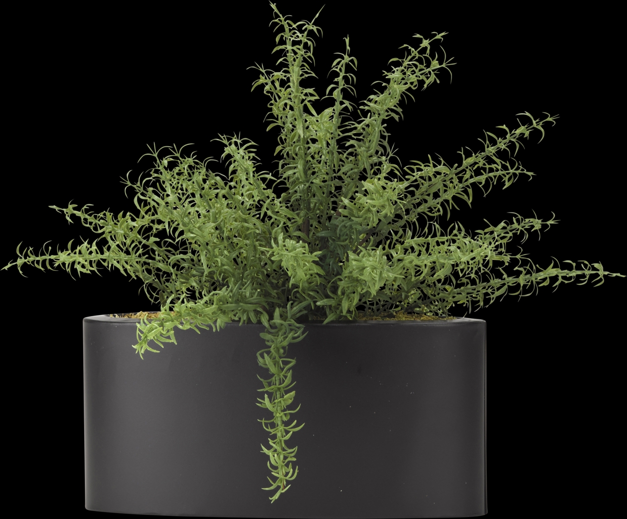 Azarie Green Rosemary Silk Plant - Thumbnail - Image 1