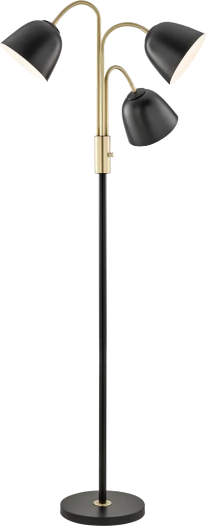 Baffin Point Black Floor Lamp - Thumbnail - Image 1