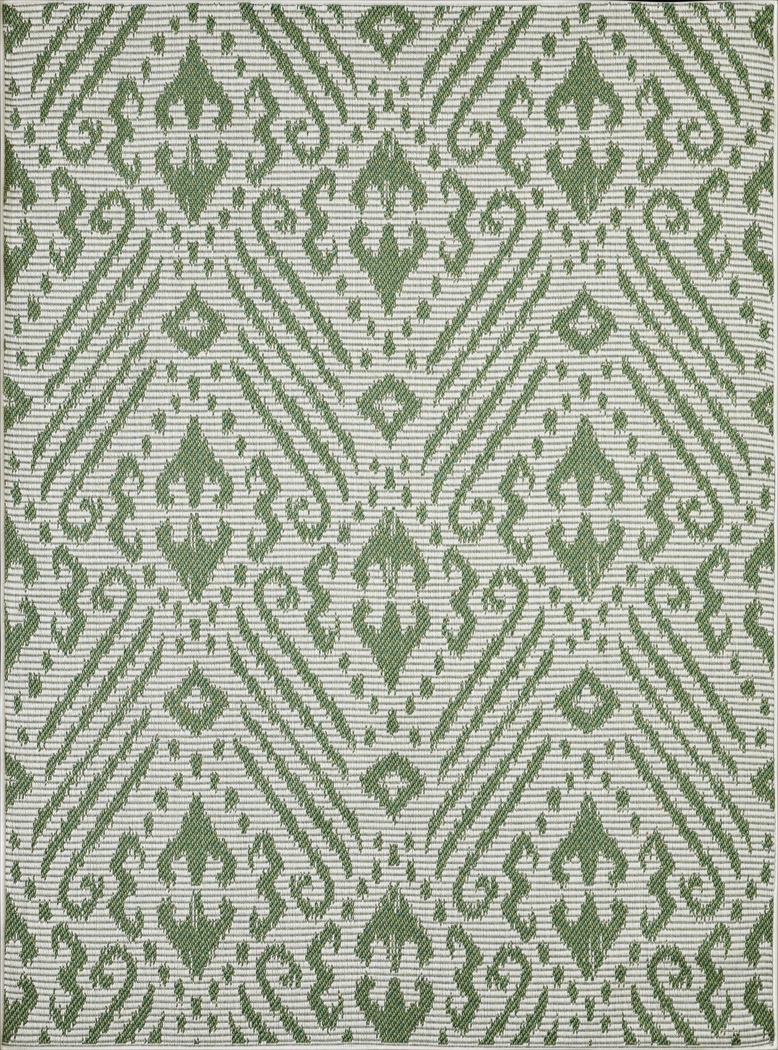 Bahart Green 5'3 x 7'3 Indoor/Outdoor Rug - Thumbnail - Image 12