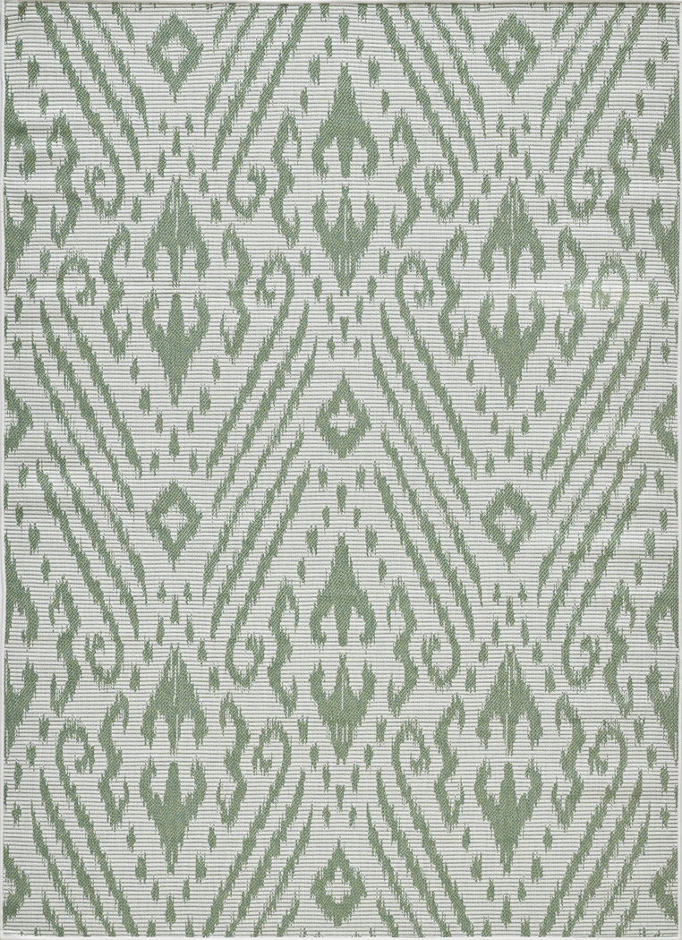 Bahart Green 5'3 x 7'3 Indoor/Outdoor Rug - Thumbnail - Image 13