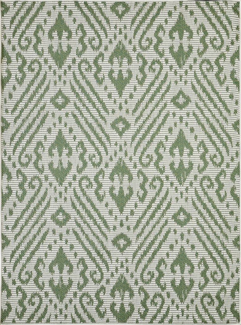 Bahart Green 5'3 x 7'3 Indoor/Outdoor Rug - Thumbnail - Image 1