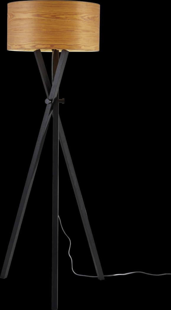 Baikel Black Floor Lamp - Thumbnail - Image 1