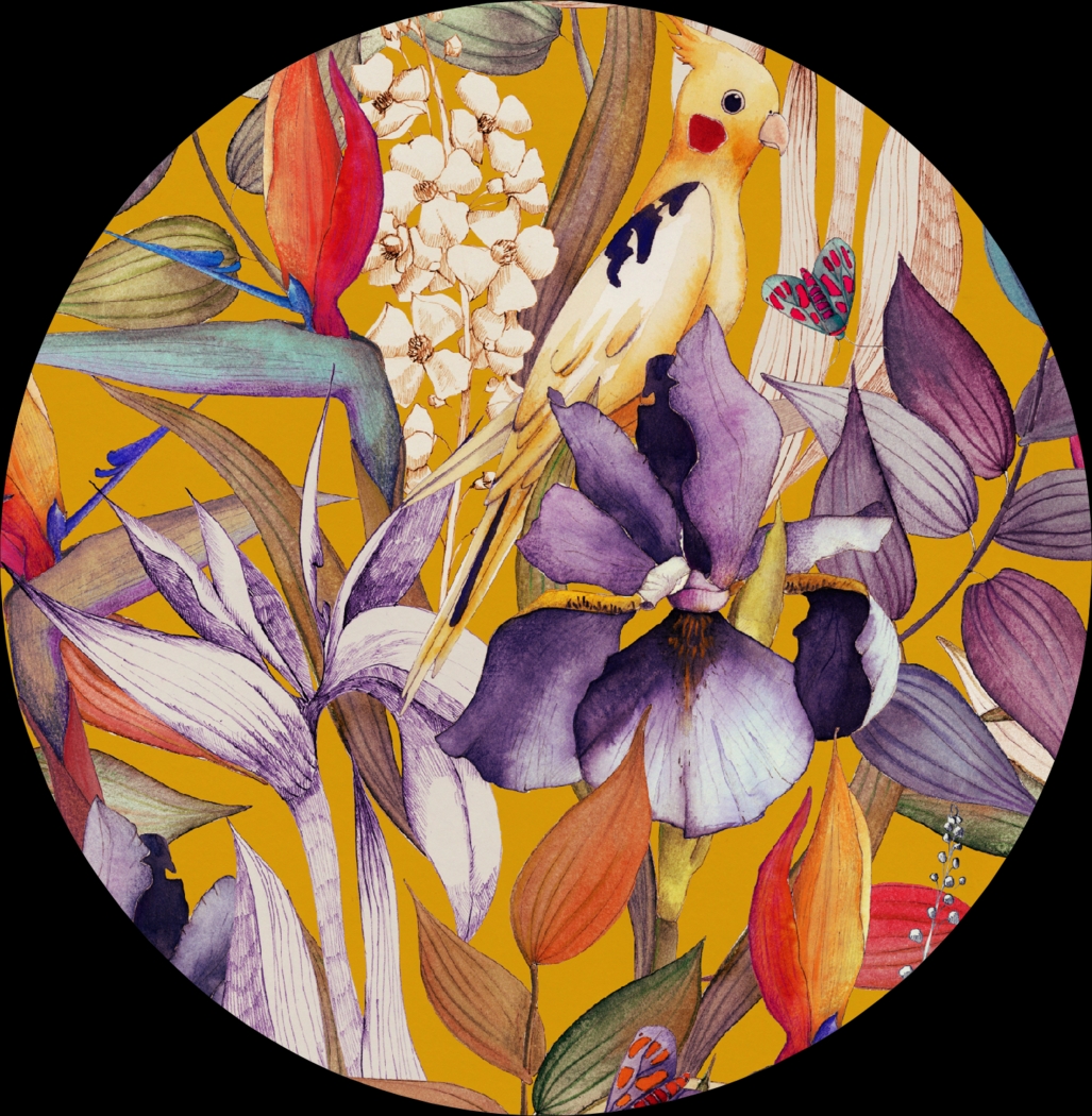 Baingus Multi Lazy Susan - Thumbnail - Image 4