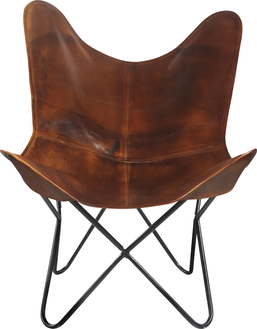 Balom Brown Accent Chair - Thumbnail - Image 1