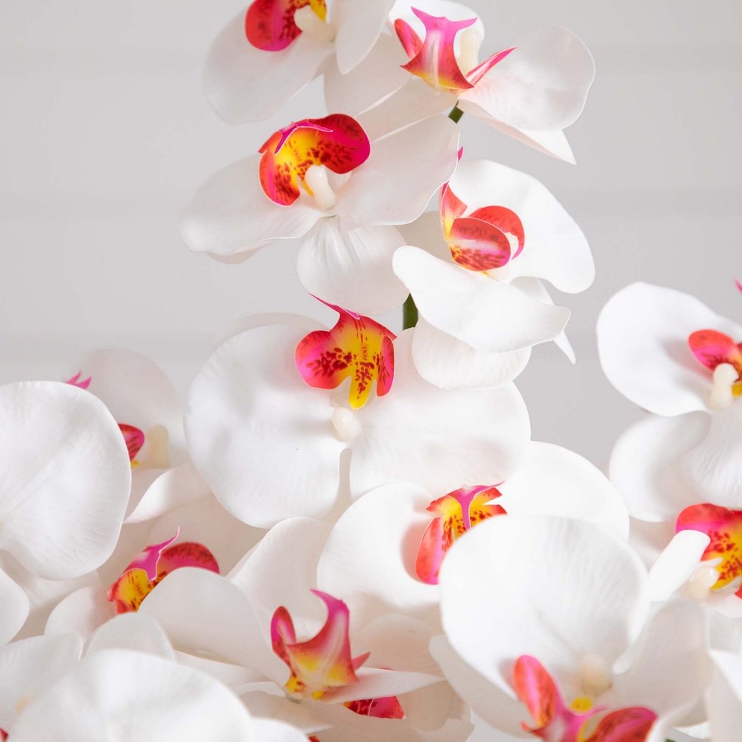 Balsinger II White Silk Floral - Thumbnail - Image 4